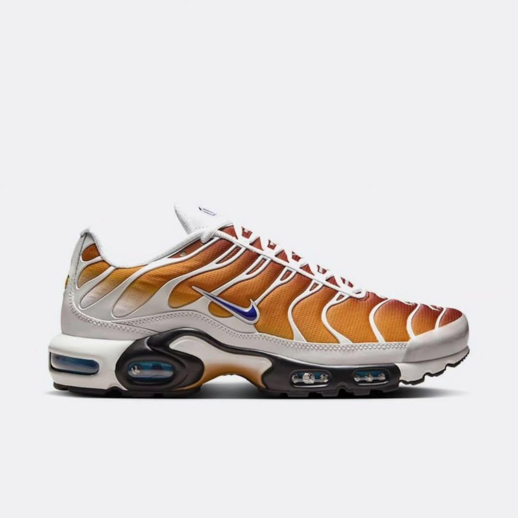 Nike One Block Down x Air Max Plus "Reverse Pack - Cold Sun" TN