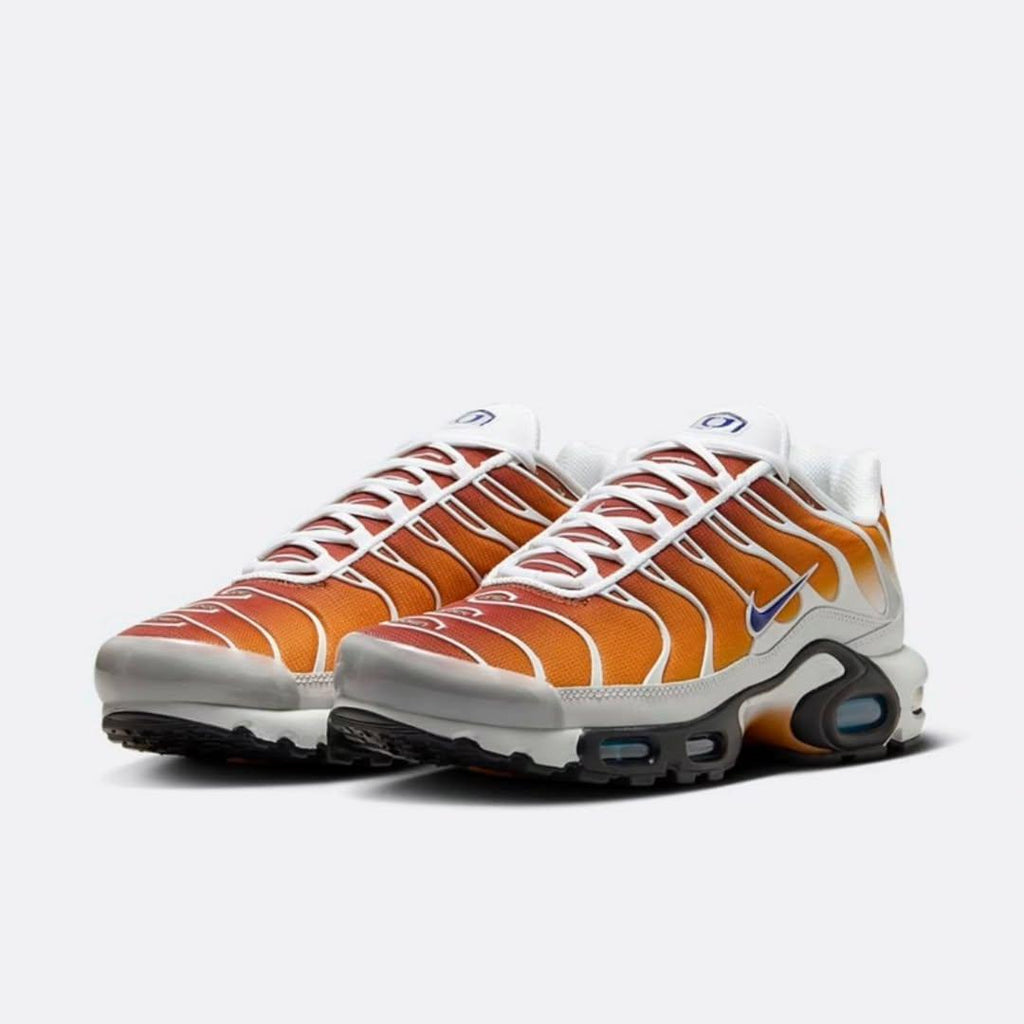 Nike One Block Down x Air Max Plus "Reverse Pack - Cold Sun" TN
