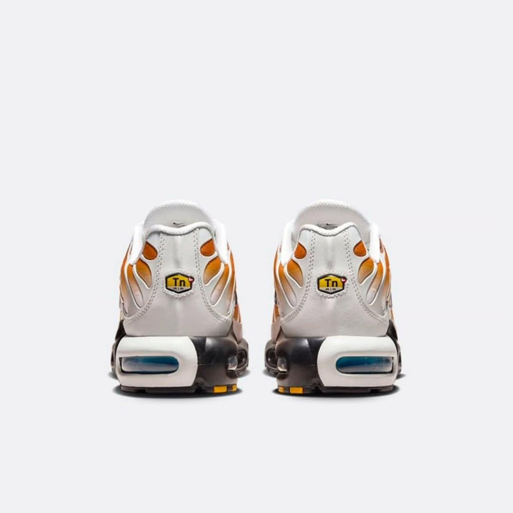 Nike One Block Down x Air Max Plus "Reverse Pack - Cold Sun" TN