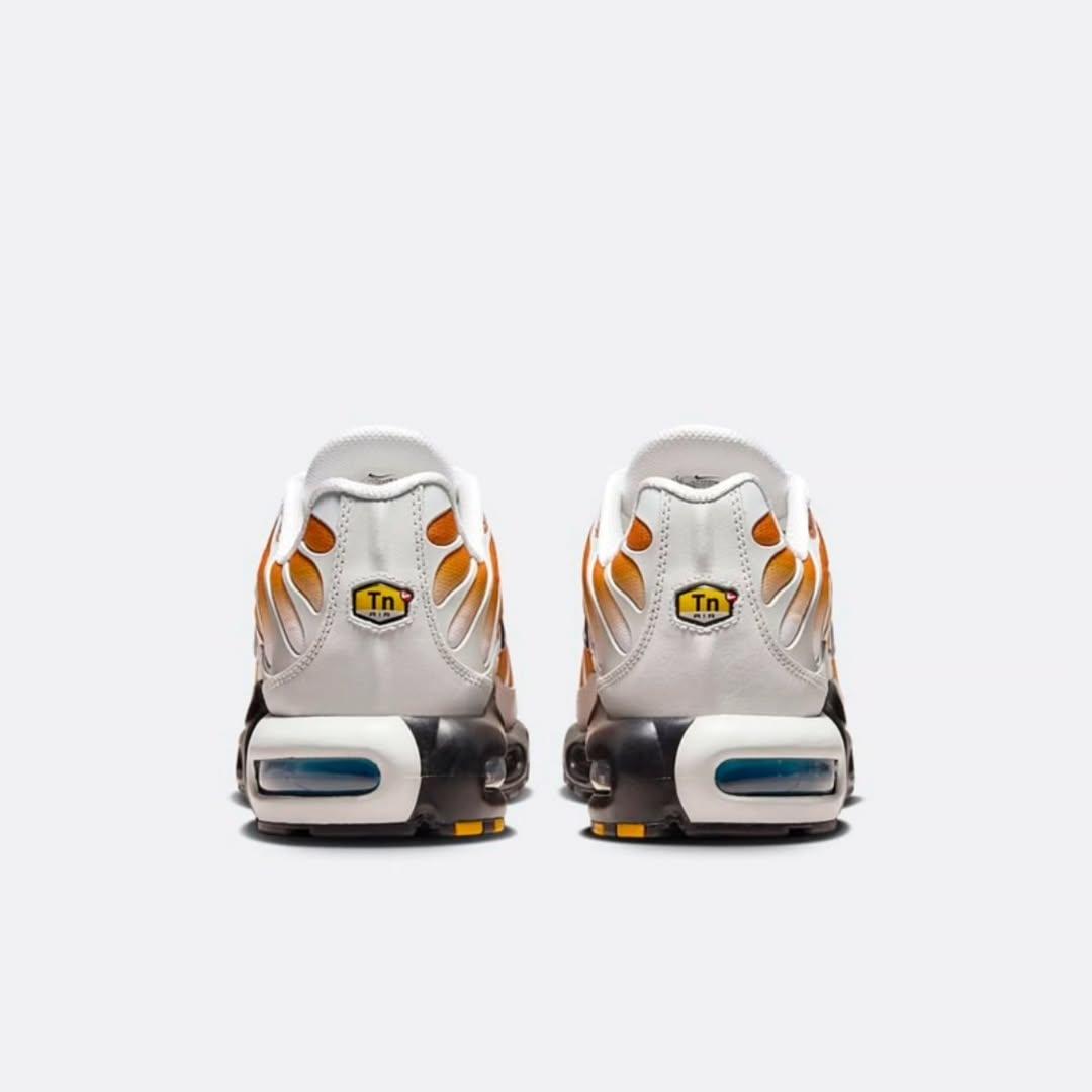 Nike One Block Down x Air Max Plus "Reverse Pack - Cold Sun" TN