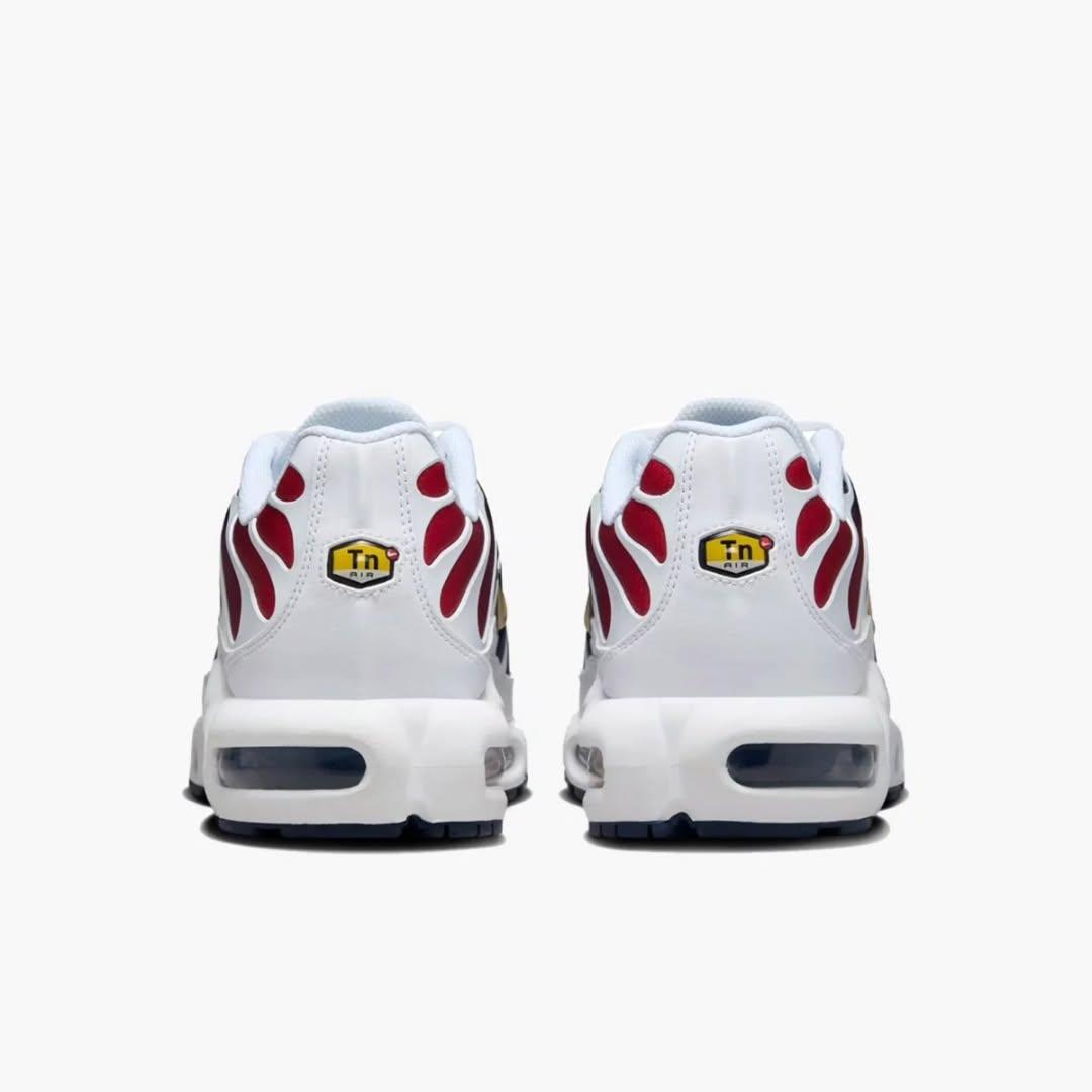 Nike Air Max Plus "PSG" (Paris Saint-Germain) TN.